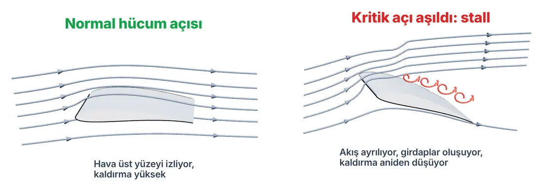 Flow over a wing in normal flight and in a stall